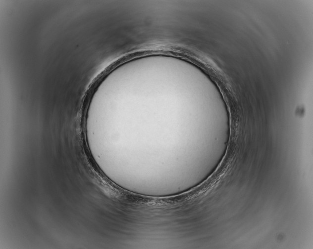 X0000099421216200805301400