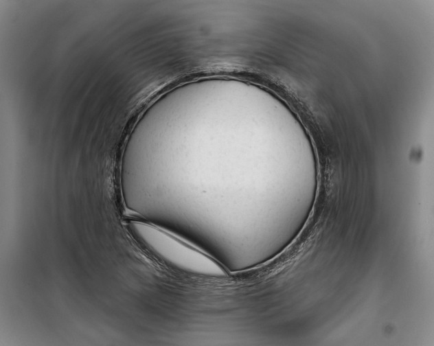X0000099421217200805301400