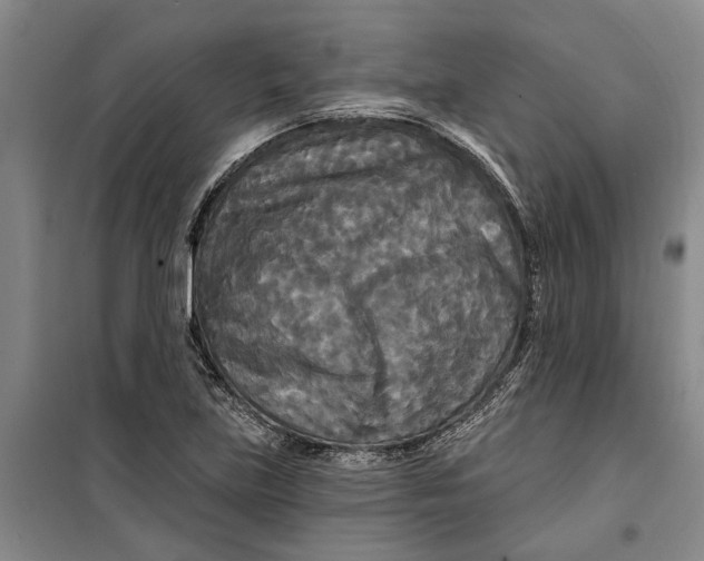X0000099421219200805301400