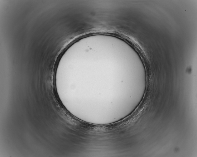 X0000099421220200805301400