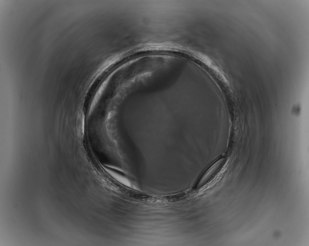 X0000099421221200805301400