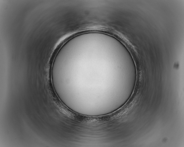 X0000099421222200805301400