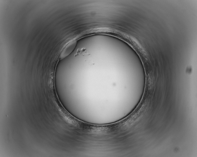 X0000099421225200805301400