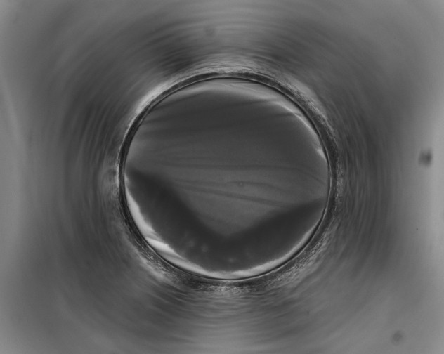 X0000099421226200805301400