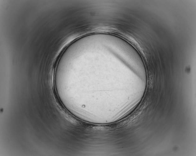 X0000099421227200805301400