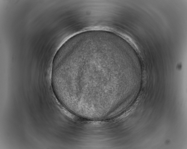 X0000099421228200805301400