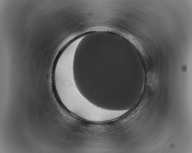 X0000099421229200805301400