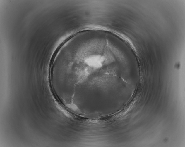 X0000099421231200805301400