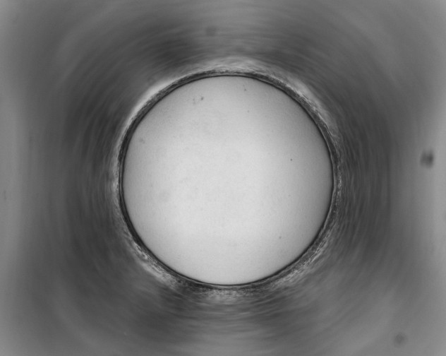 X0000099421232200805301400