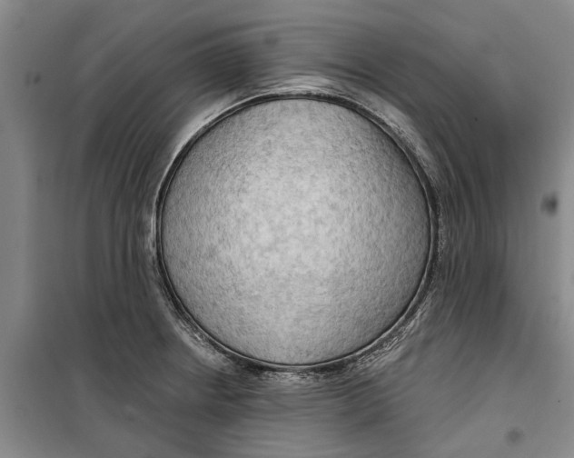 X0000099421234200805301400