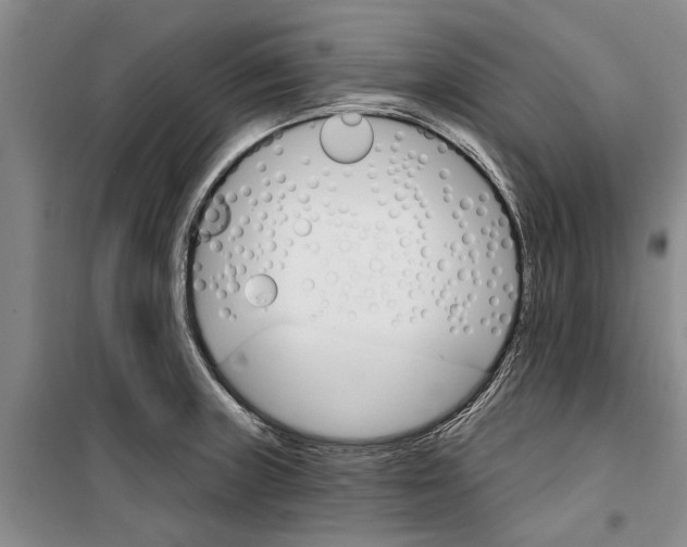 X0000099421235200805301400