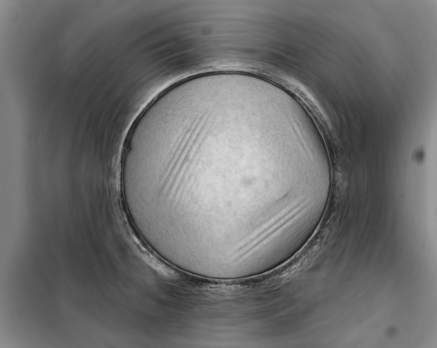 X0000099421236200805301400