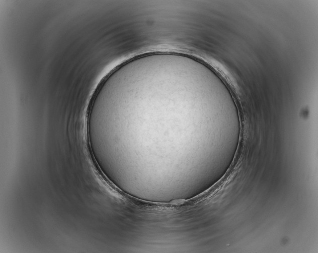 X0000099421238200805301400