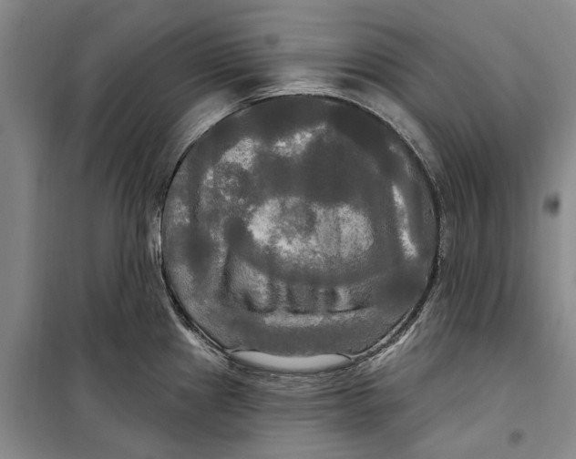 X0000099421241200805301400
