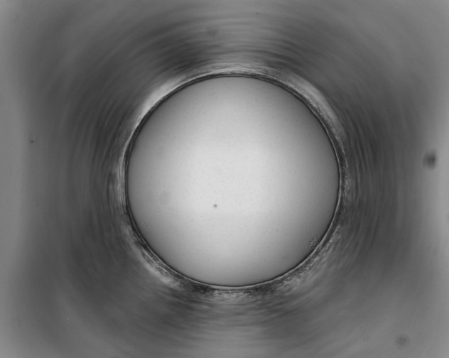 X0000099421242200805301400