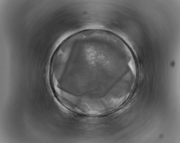 X0000099421245200805301400