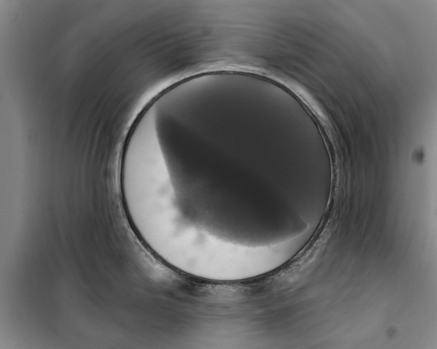 X0000099421246200805301400