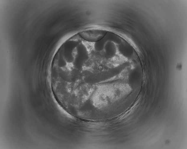 X0000099421247200805301400