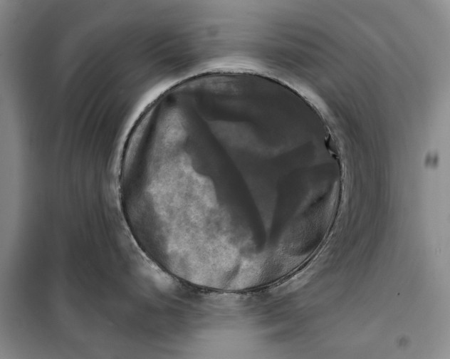 X0000099421248200805301400