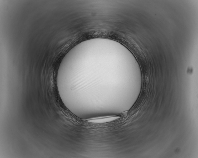 X0000099421250200805301359