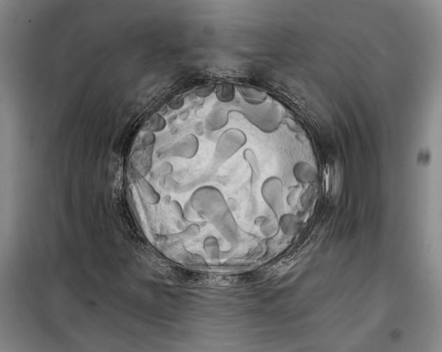 X0000099421251200805301359
