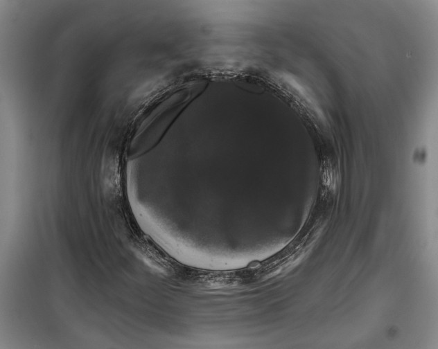 X0000099421252200805301359
