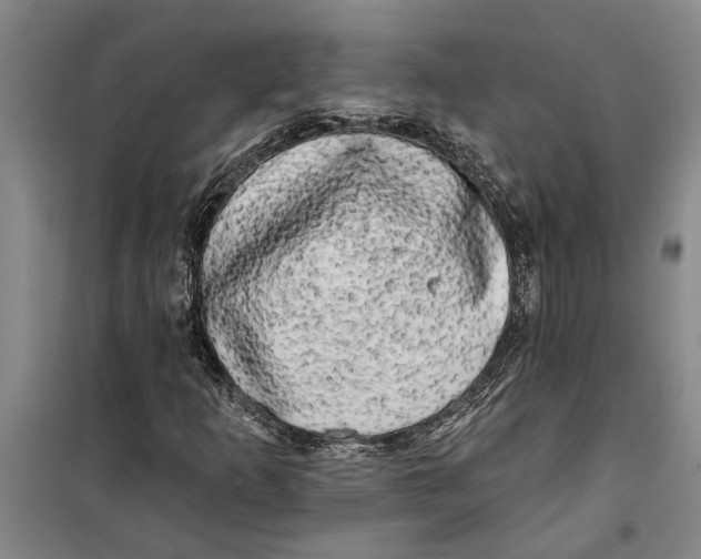 X0000099421253200805301359