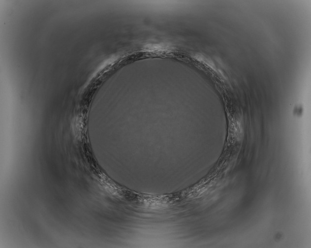 X0000099421254200805301359