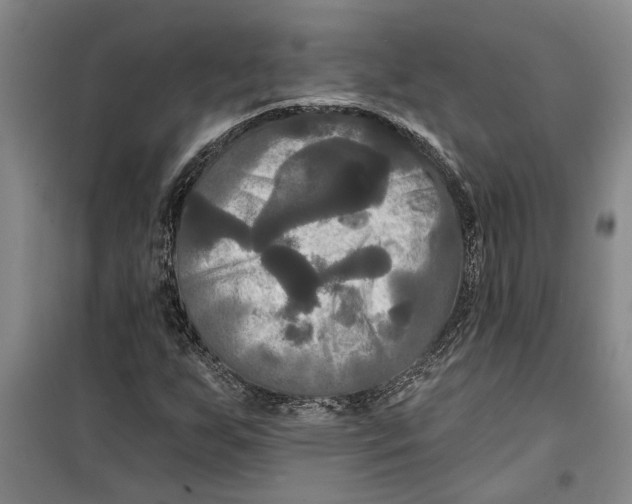 X0000099421255200805301359