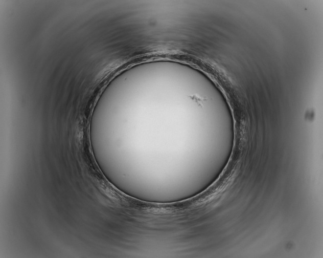 X0000099421257200805301359