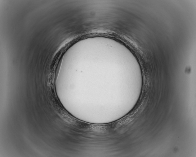X0000099421258200805301359
