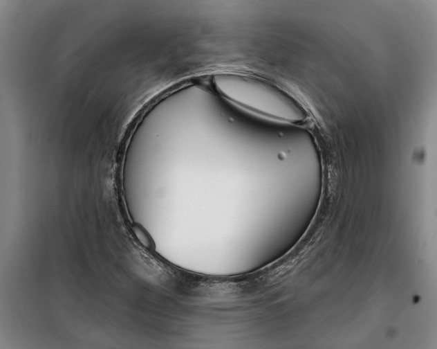 X0000099421260200805301359