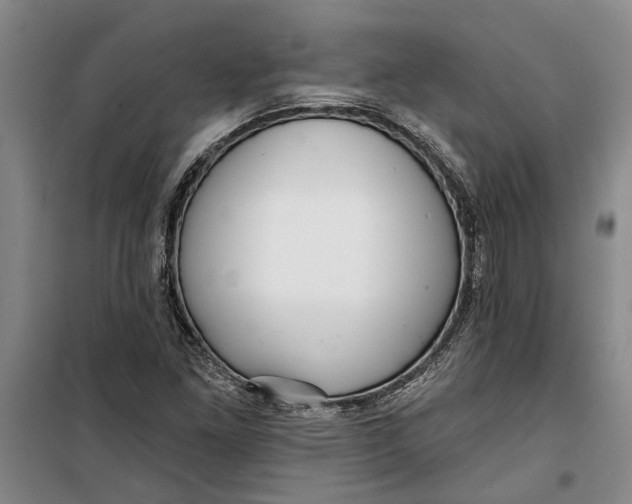 X0000099421261200805301359