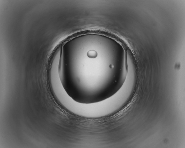 X0000099421263200805301359
