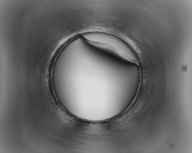 X0000099421264200805301359