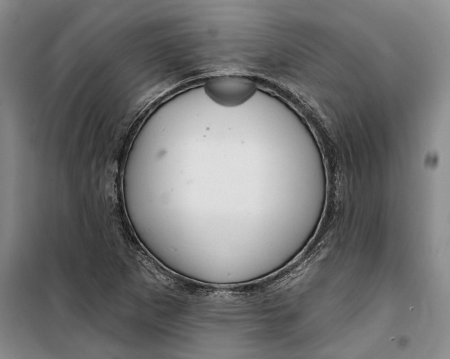 X0000099421265200805301359