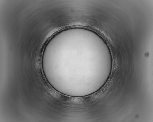 X0000099421266200805301359