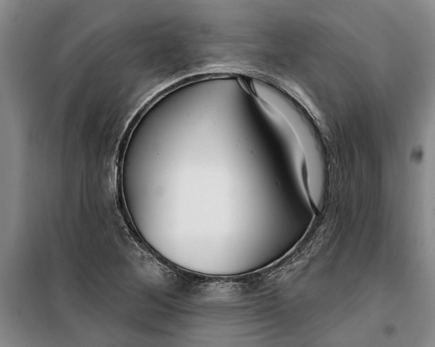 X0000099421268200805301359
