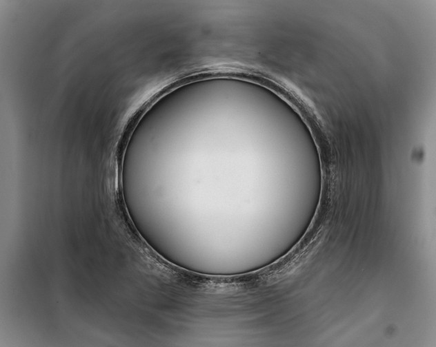 X0000099421269200805301359