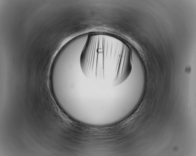 X0000099421272200805301359