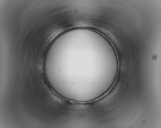 X0000099421273200805301359