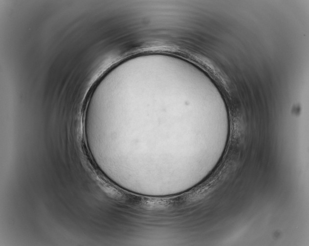 X0000099421274200805301359