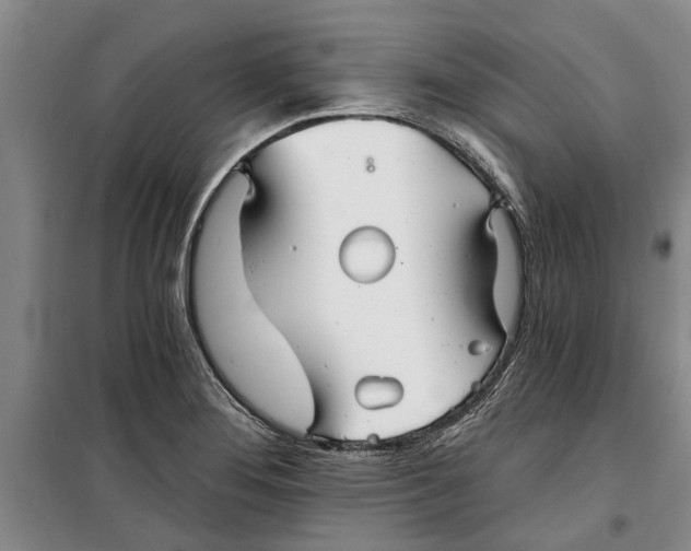 X0000099421276200805301359