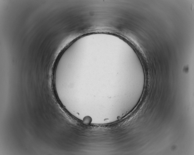 X0000099421277200805301359