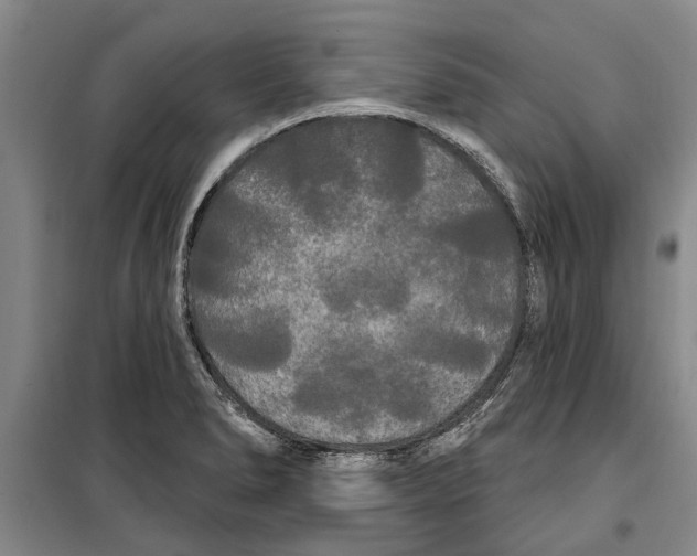 X0000099421278200805301359