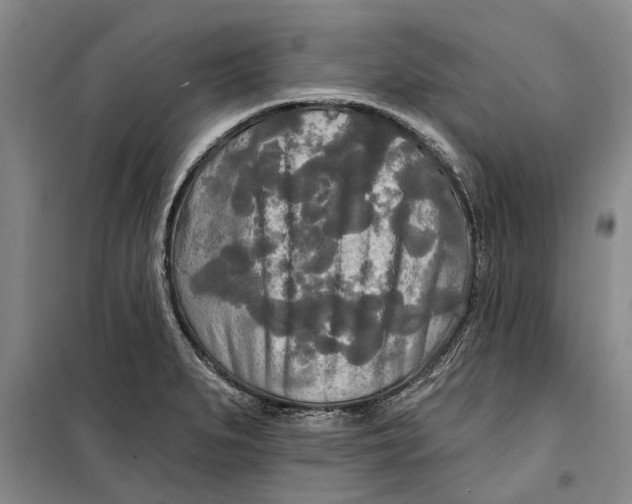X0000099421279200805301359