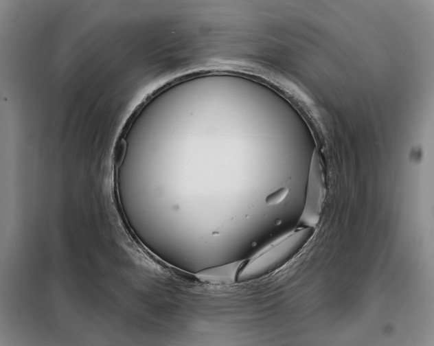 X0000099421280200805301359