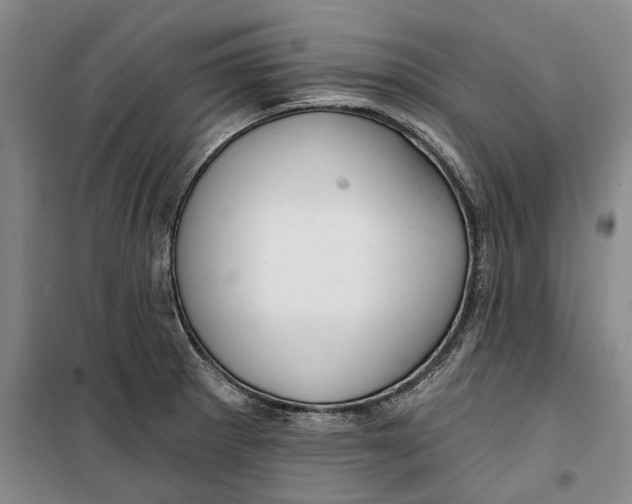X0000099421281200805301359