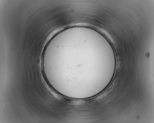 X0000099421282200805301359