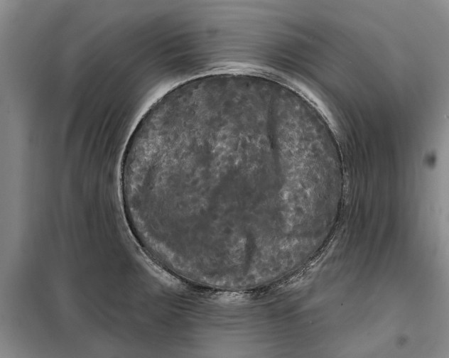 X0000099421283200805301359